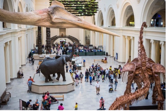 Interior shot of the Field Museum