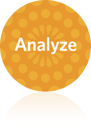 evaluate and analyze